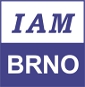 logo IAM